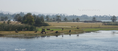 Nile Egypt